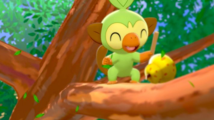 Pokemon Grookey